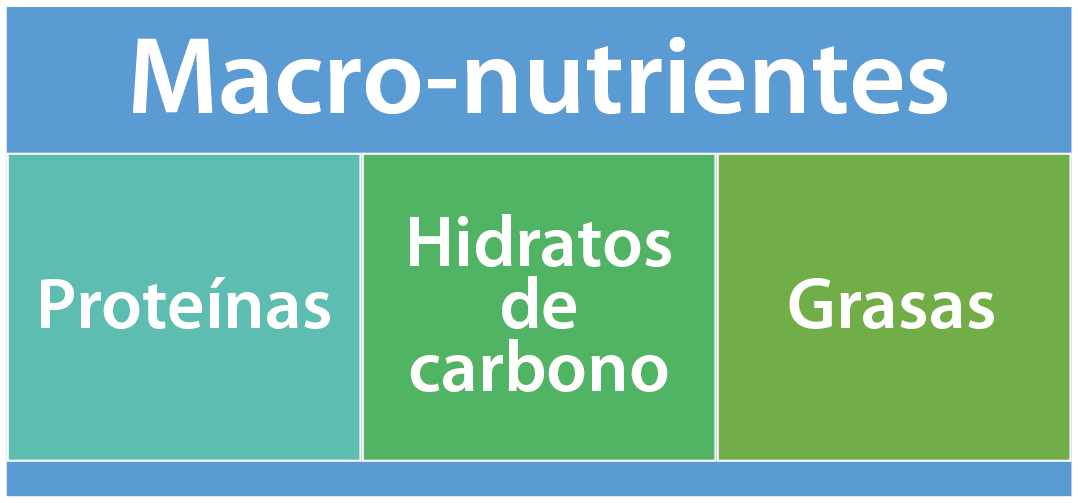 Macronutrientes